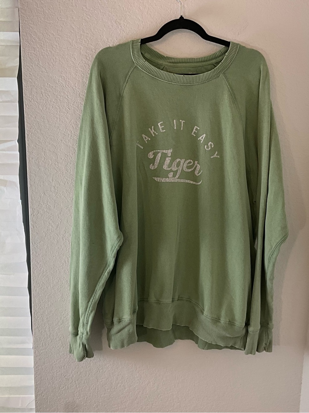 aerie Women's Oversized Crewneck Sweatshirt in Sage Green with 'Tiger' Script L